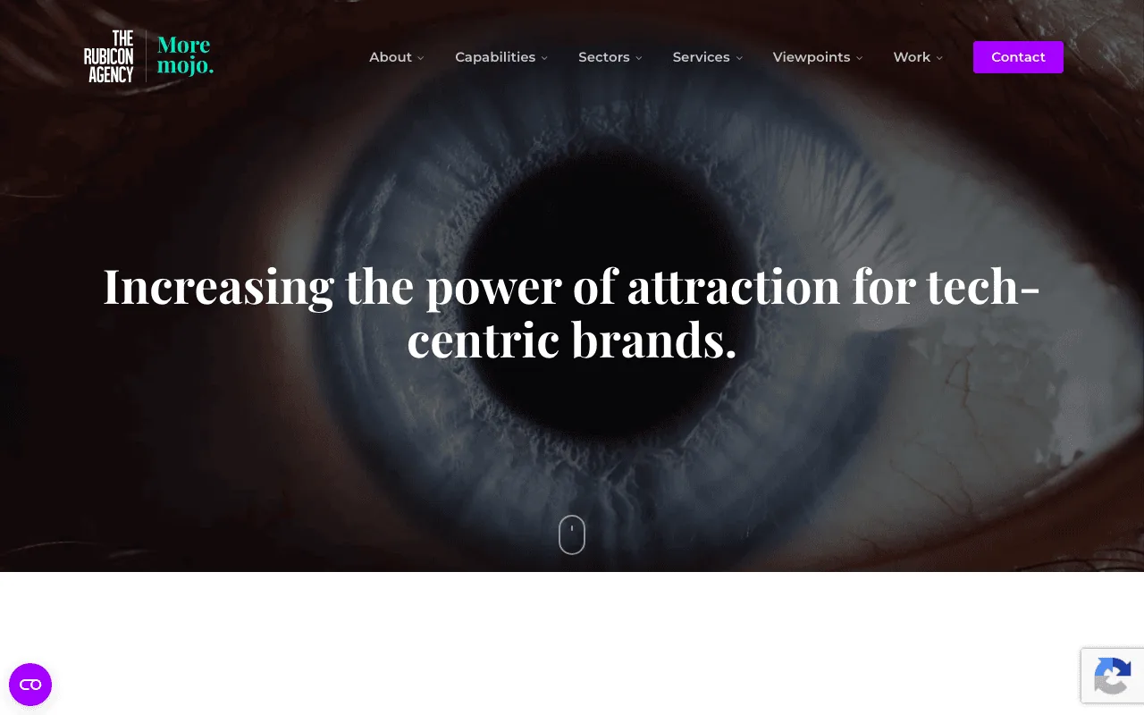 Bay Leaf Digital homepage screenshot — B2B marketing agency