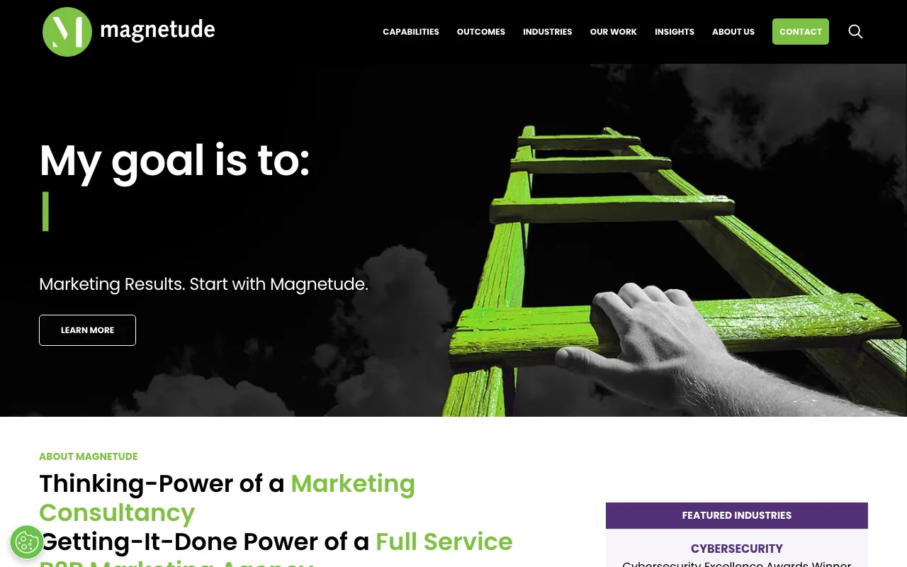 Magnetude Consulting homepage screenshot — B2B marketing agency